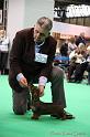 Crufts2011_2 1119